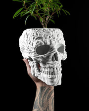 Skull Planter - 3D printed planter by Valence Objects