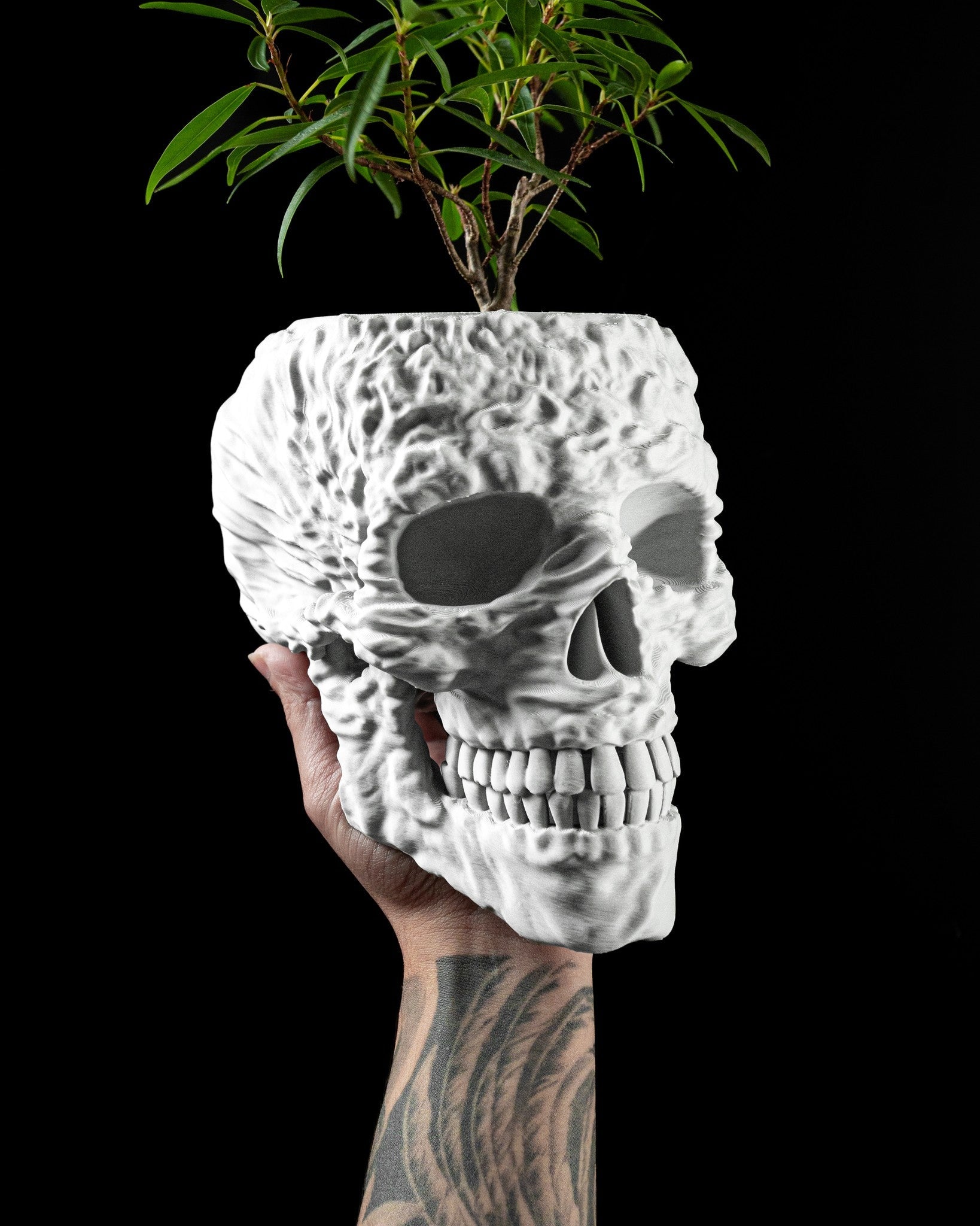 Skull Planter - 3D printed planter by Valence Objects