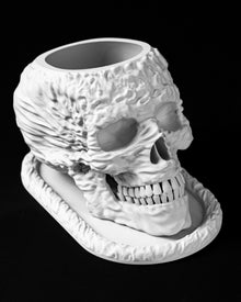 Skull Planter