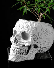 Skull Planter - 3D printed planter by Valence Objects
