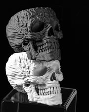Skull Planter - 3D printed planter by Valence Objects