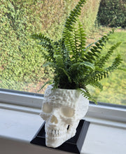 Skull Planter - 3D printed planter by Valence Objects