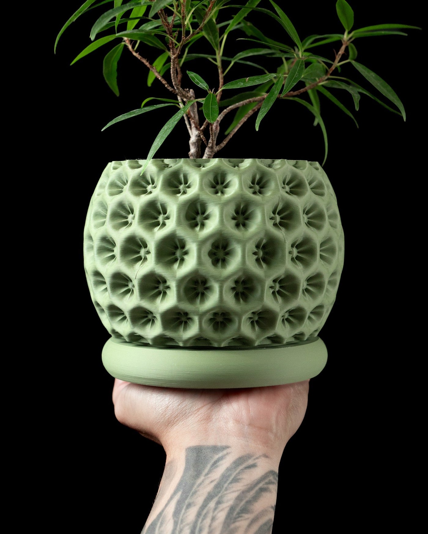 Starburst Dimple Planter