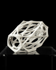 Oval Cage Vase - 3D printed vase by Valence Objects