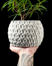 Hex Cell Planter