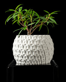 Hex Cell Planter