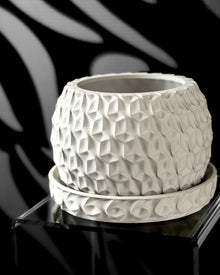 Hex Cell Planter