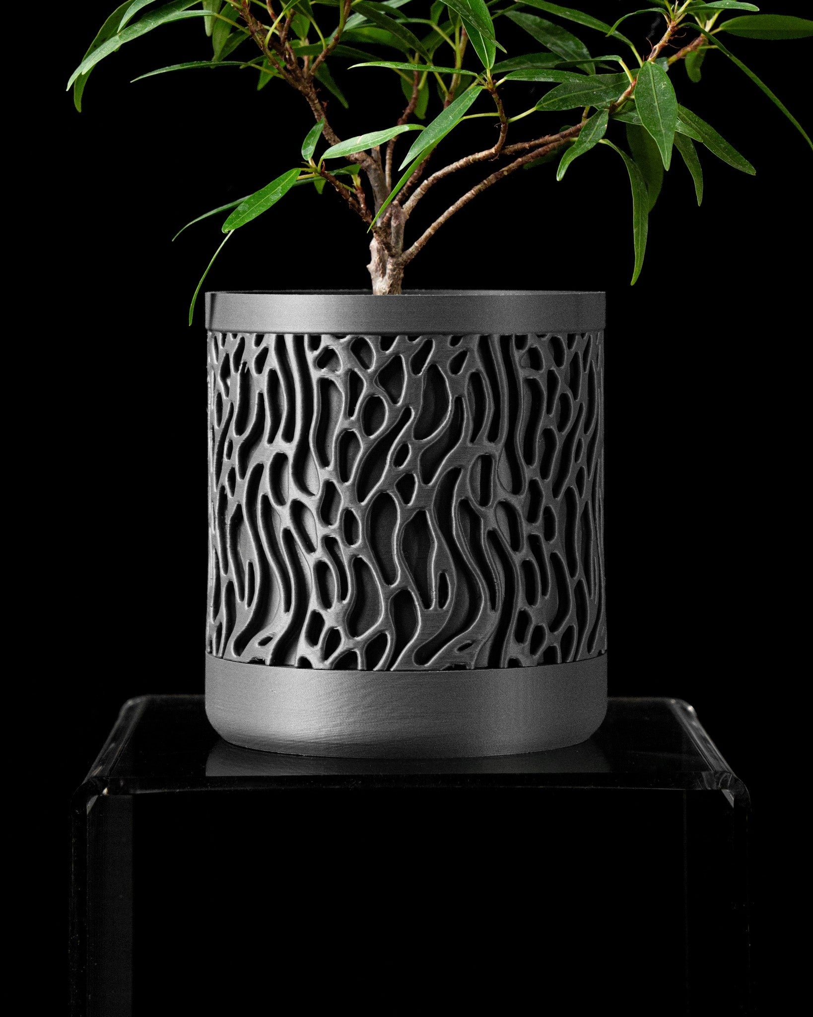 Vine Wall Planter - 3D printed planter by Valence Objects