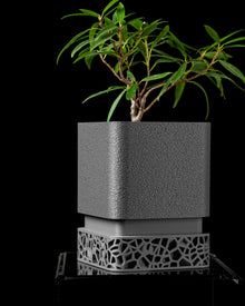 Voronoi Square Planter