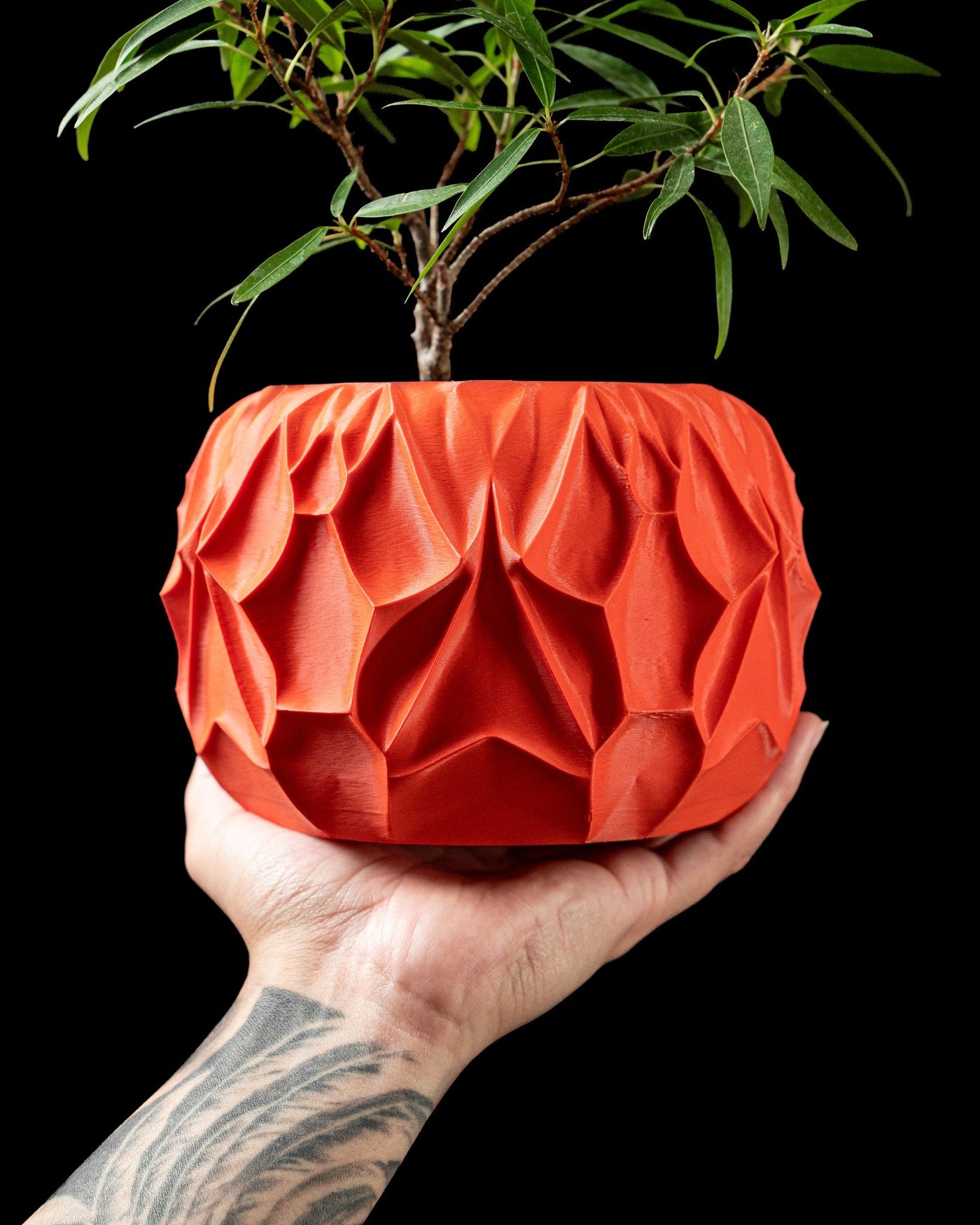 Crumple Facet Planter