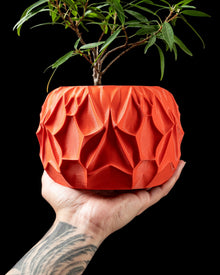 Crumple Facet Planter