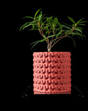 Knot Cluster Planter - 3D printed planter by Valence Objects