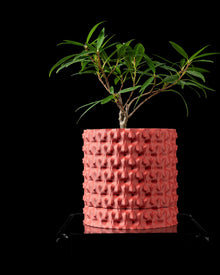 Knot Cluster Planter