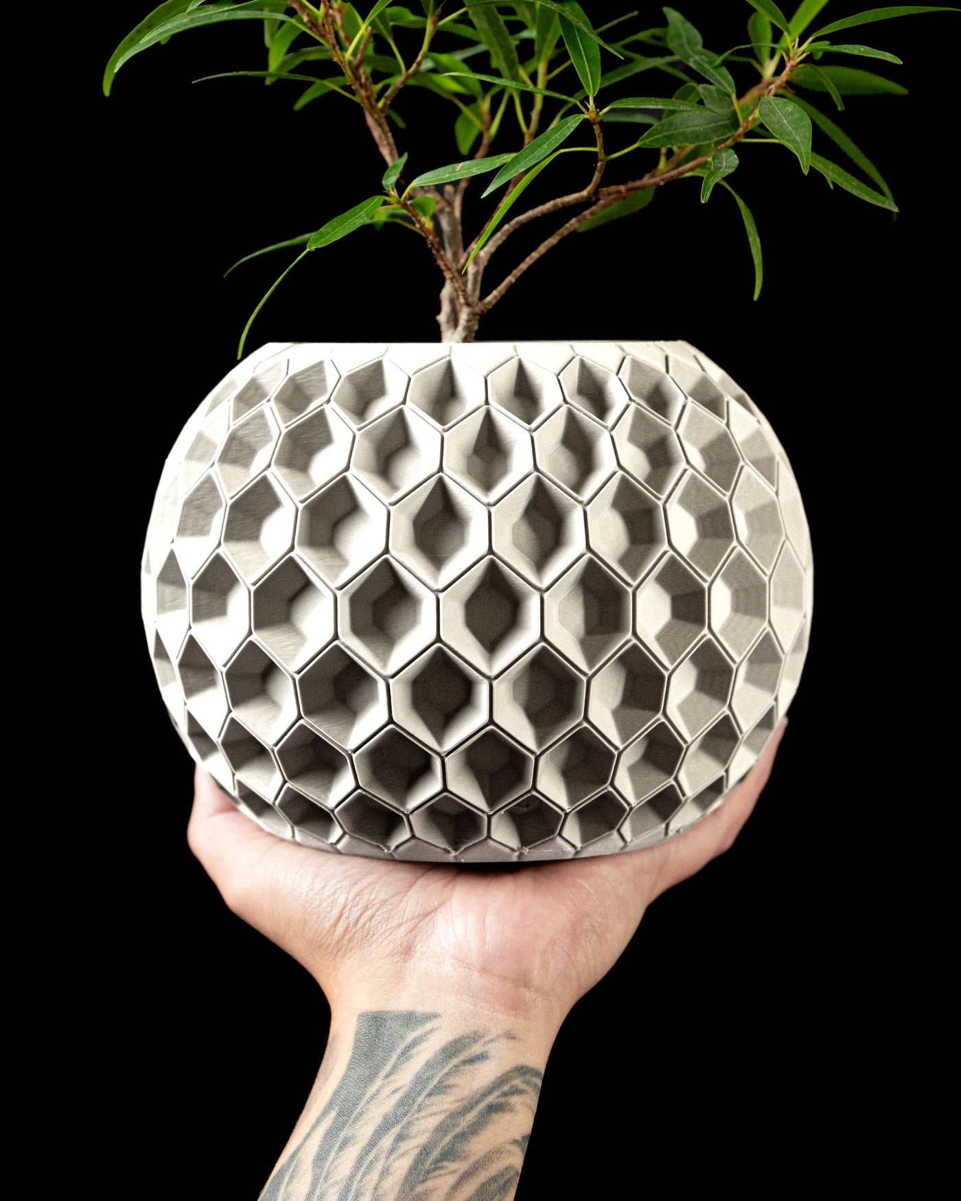 Hex Comb Planter