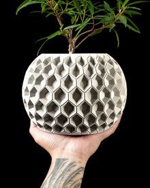 Hex Comb Planter