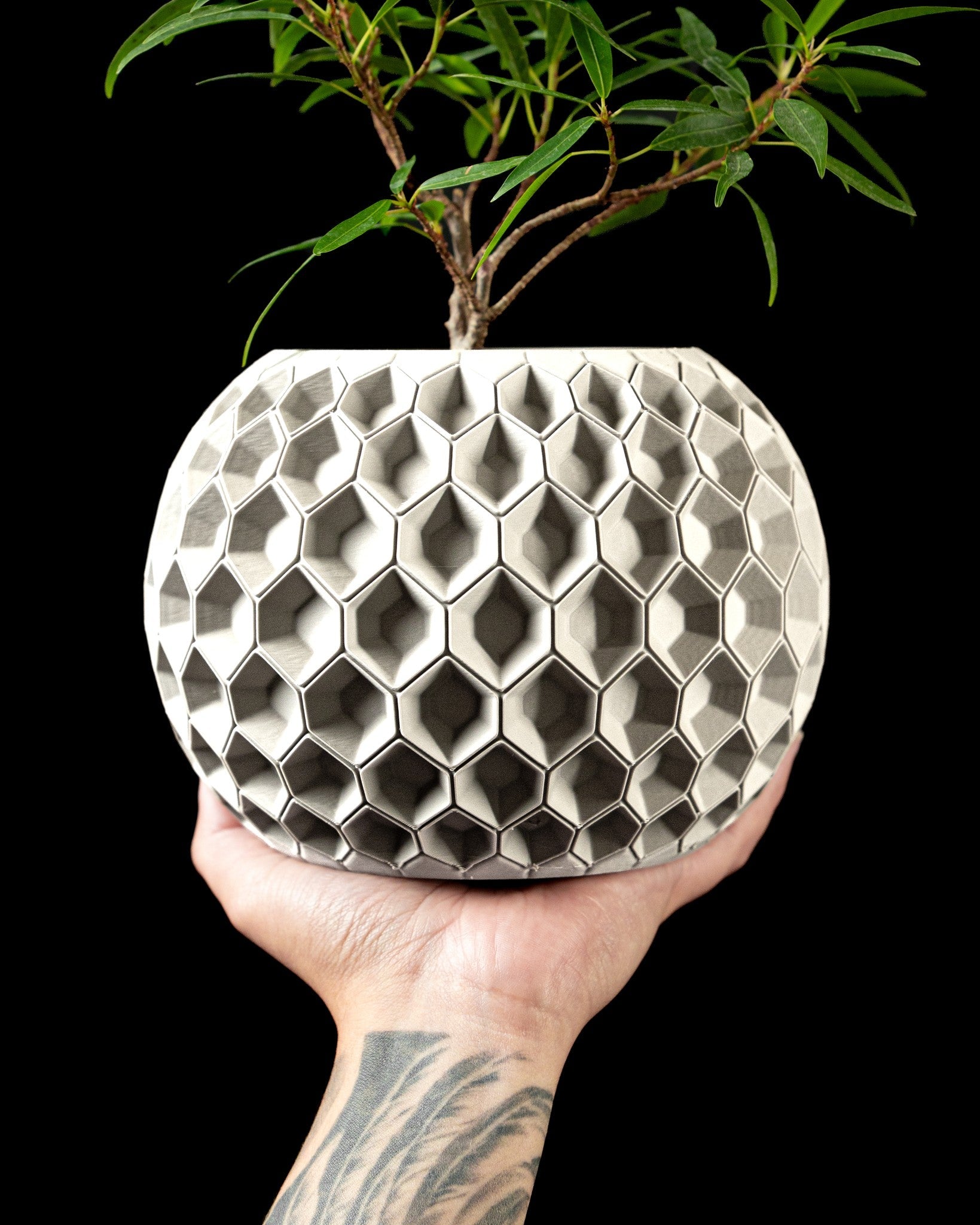 Hex Comb Planter - 3D printed planter by Valence Objects