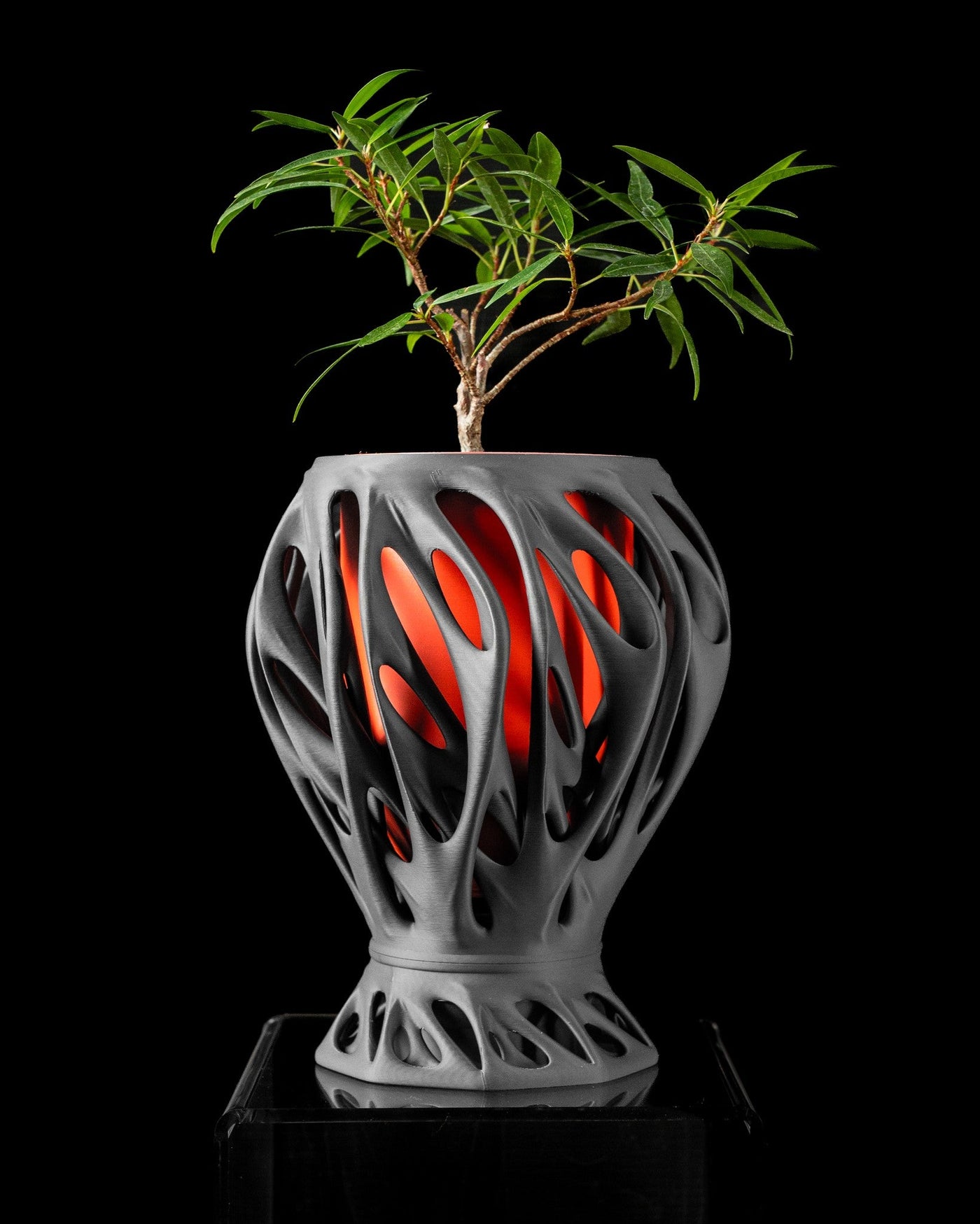 Ember Web Planter