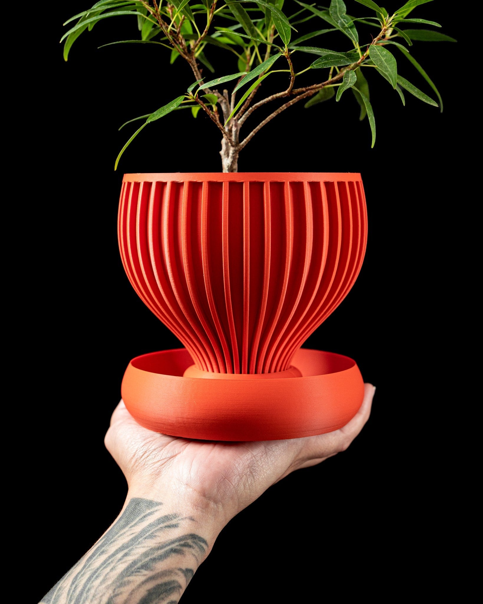 Radial Bowl Planter - 3D printed planter by Valence Objects