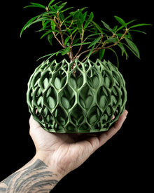 Layered Scale Planter
