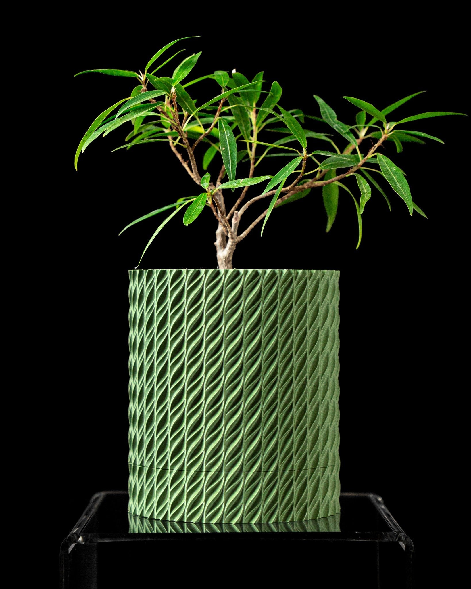 Twist Column Planter - 3D printed planter by Valence Objects