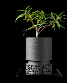 Voronoi Base Planter