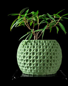 Honeycomb Orb Planter