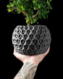 Hex Globe Planter