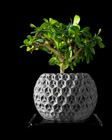 Hex Globe Planter