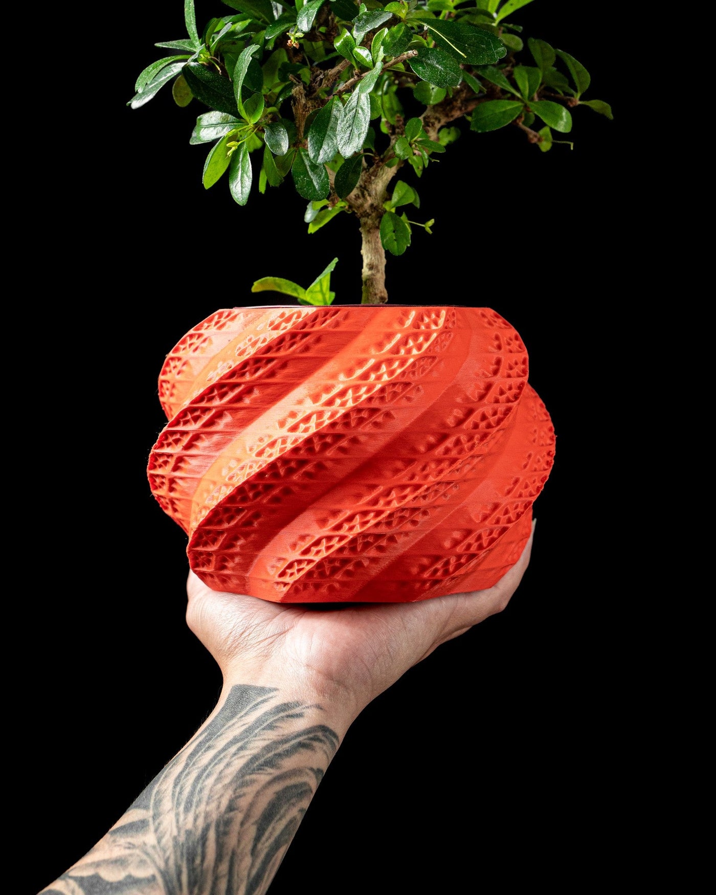 Swirl Shell Planter