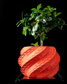 Swirl Shell Planter
