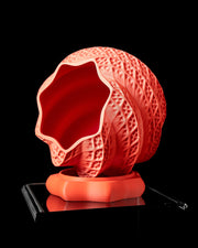 Swirl Shell Planter - 3D printed planter by Valence Objects