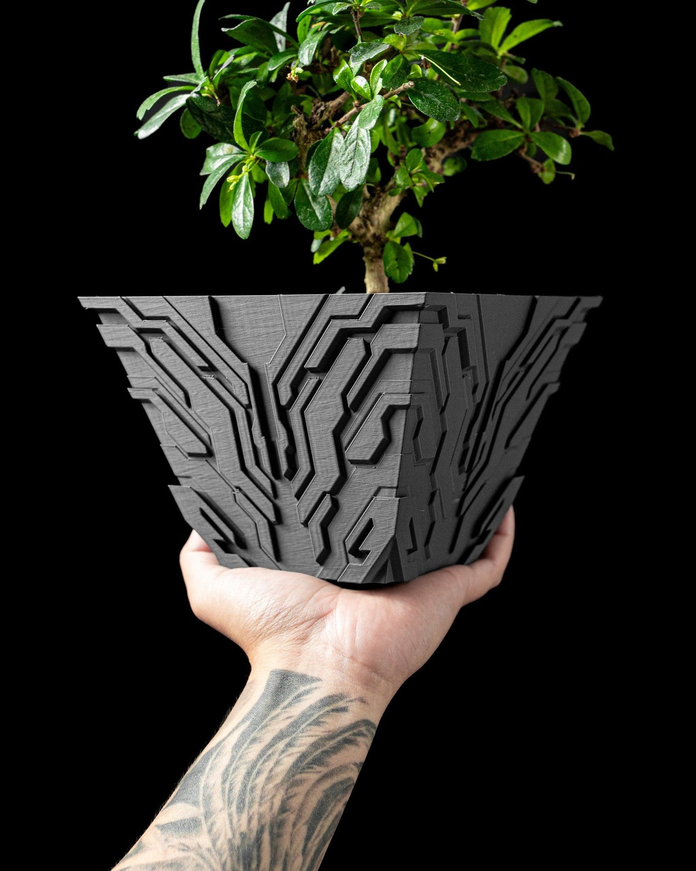Circuit Relief Planter