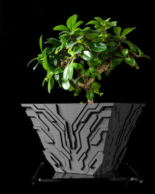 Circuit Relief Planter