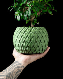 Overlap Scale Planter