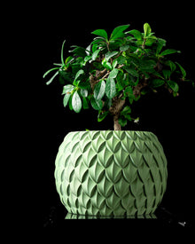 Overlap Scale Planter