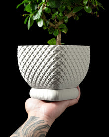 Twill Rib Planter