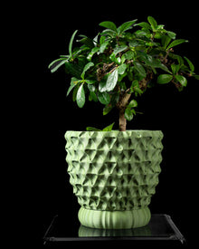 Tri Wave Planter