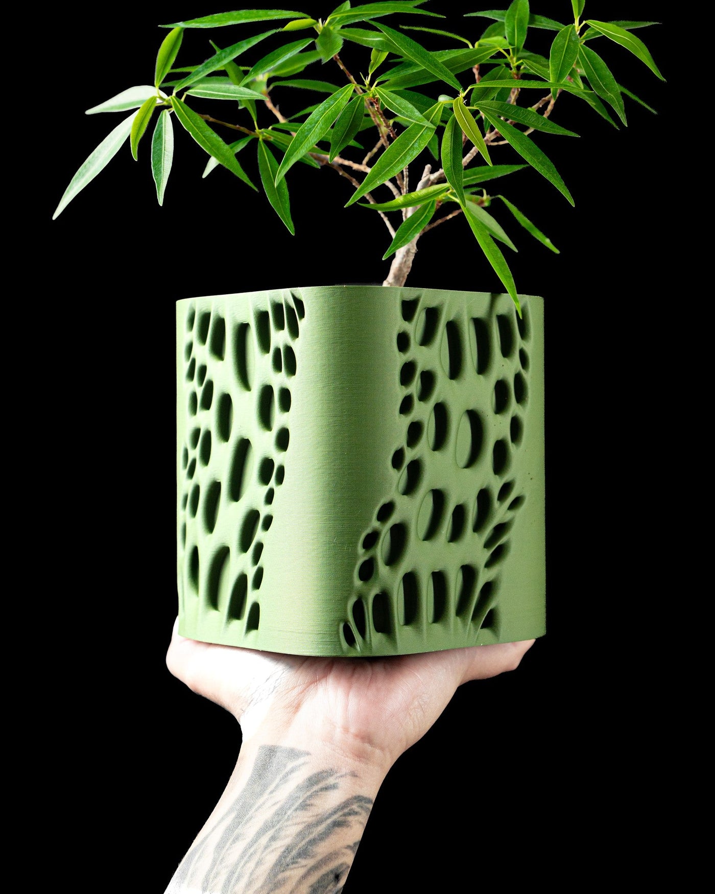 Dash Cut Planter