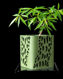 Dash Cut Planter