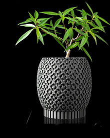 Pore Cylinder Planter