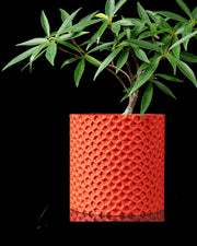 Micro Dimple Planter - 3D printed planter by Valence Objects