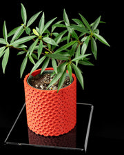 Micro Dimple Planter - 3D printed planter by Valence Objects
