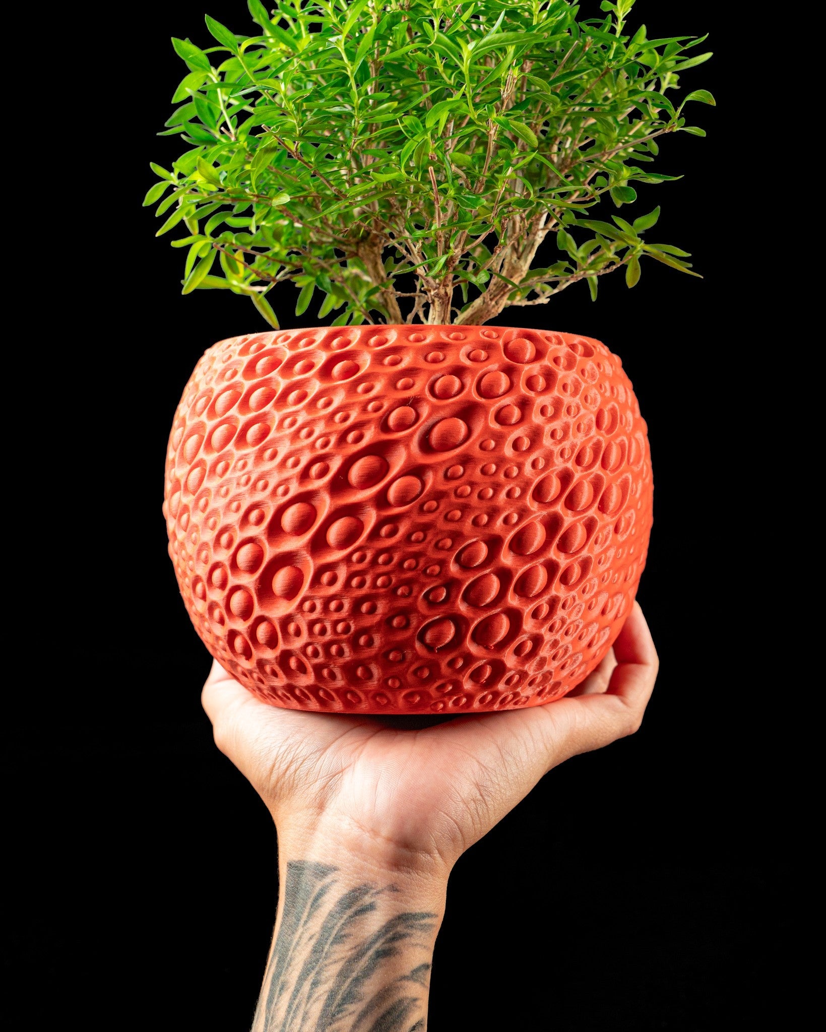 Pore Bloom Planter - 3D printed planter by Valence Objects