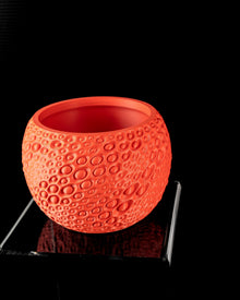 Pore Bloom Planter