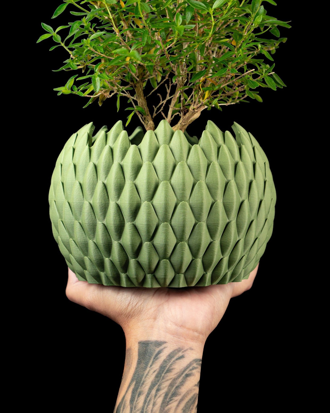 Teardrop Scale Planter