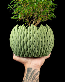 Teardrop Scale Planter