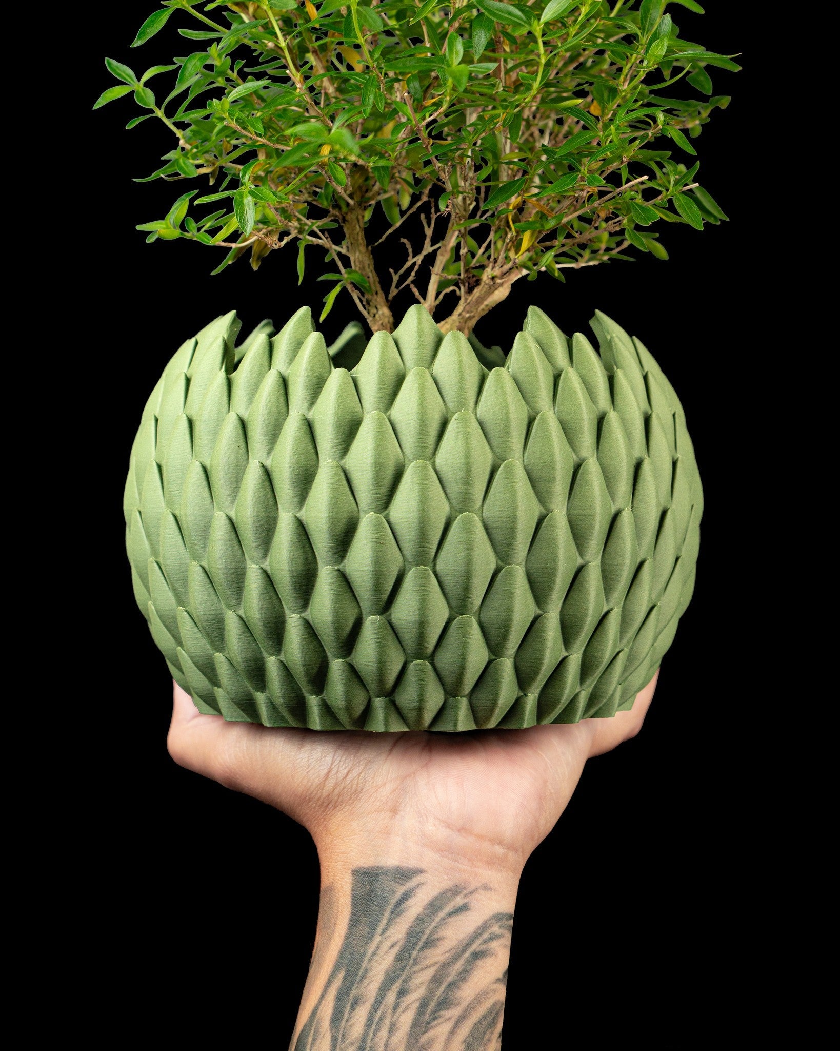 Teardrop Scale Planter - 3D printed planter by Valence Objects