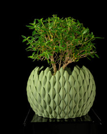 Teardrop Scale Planter