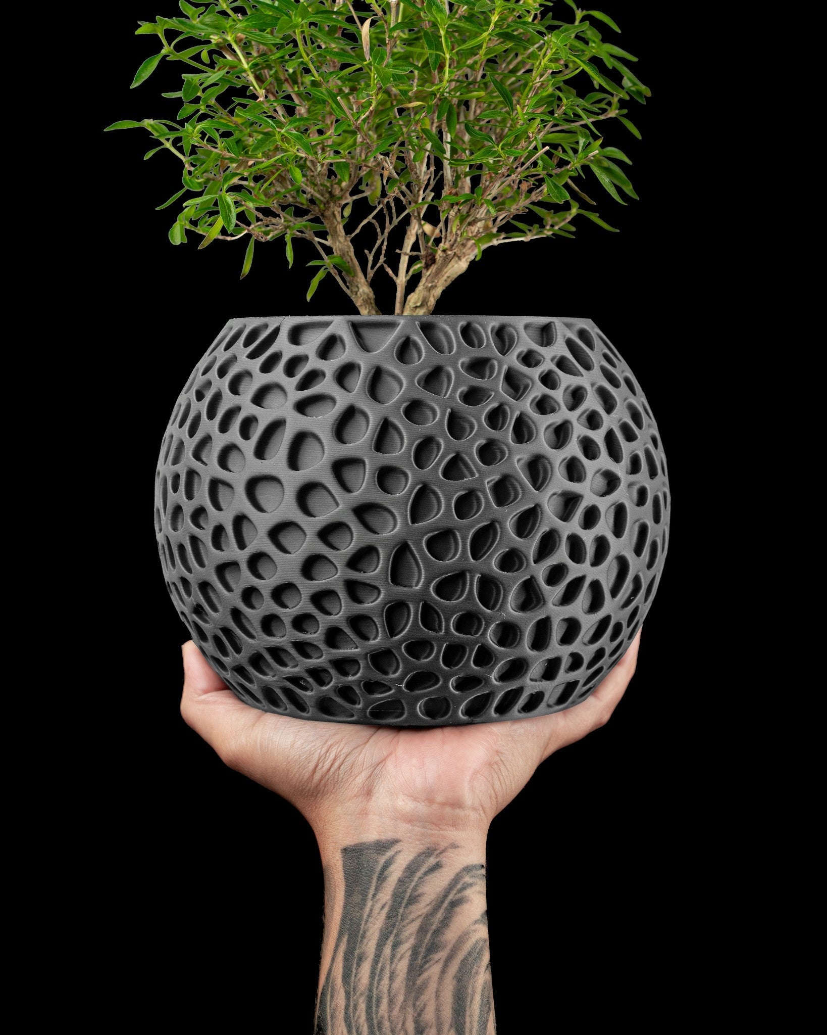 Cell Web Planter - 3D printed planter by Valence Objects