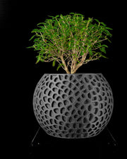 Cell Web Planter - 3D printed planter by Valence Objects
